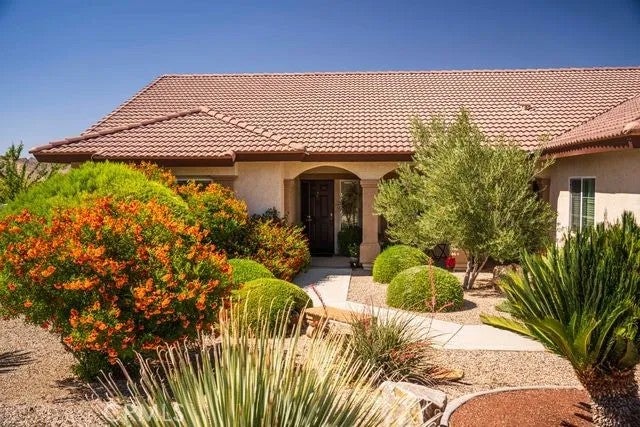 56136 Mountain View