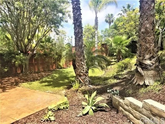 7398 Escallonia Court