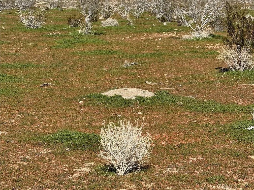 Photo of 0 0, Acton, CA 93510 (MLS # HD26011918)