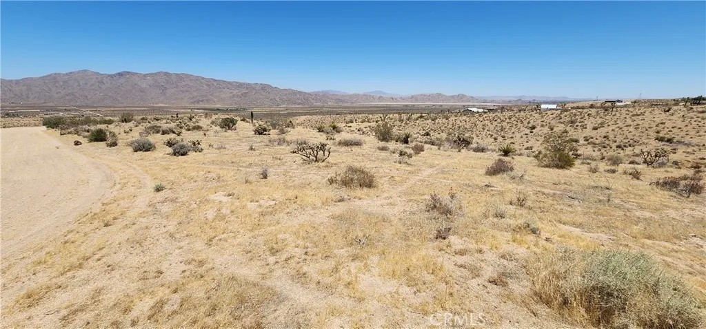 1 Rancho