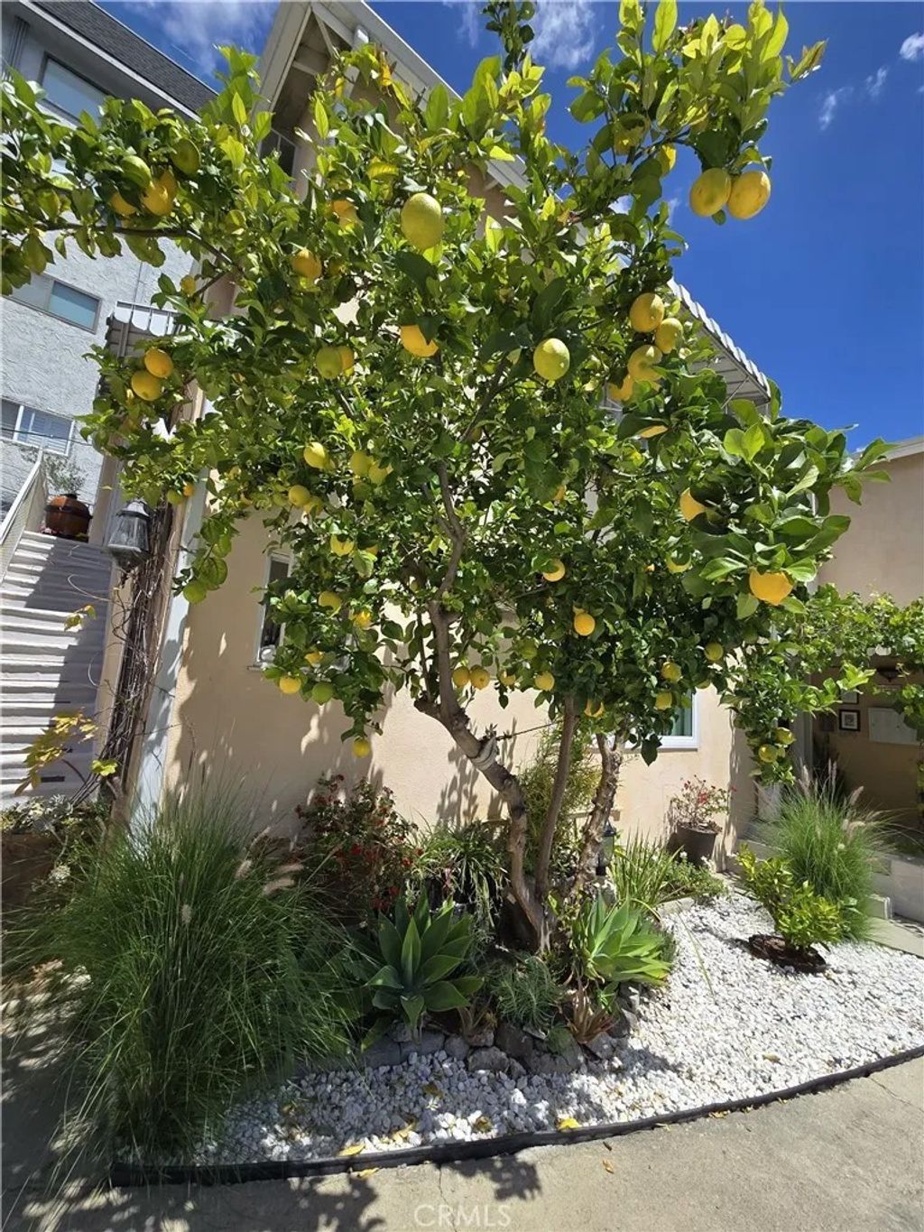 Photo of 1129 N Clark, West Hollywood, CA 90069 (MLS # SR26087759)