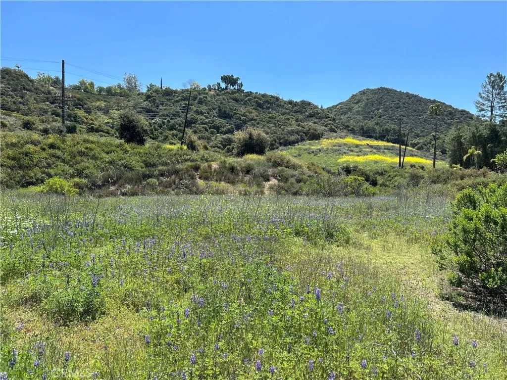 24201 Mulholland