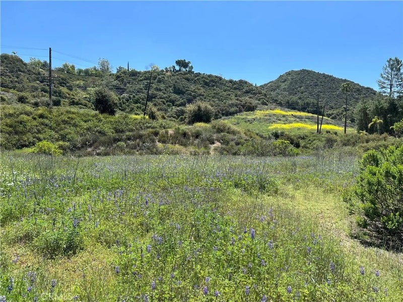 24201 Mulholland