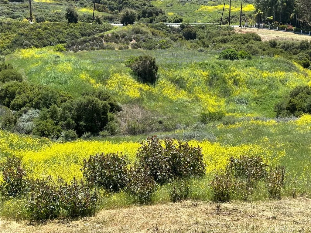 24201 Mulholland