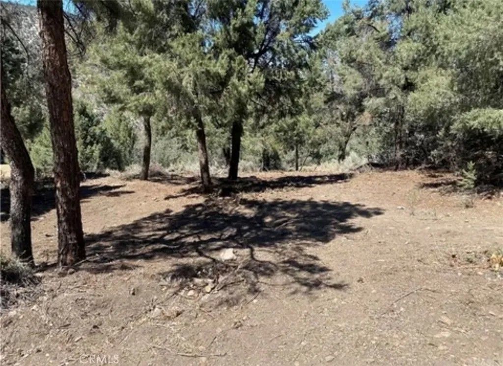 Photo of 2217 Saint Bernard Drive, Pine Mountain Club, CA 93222 (MLS # SR26043588)