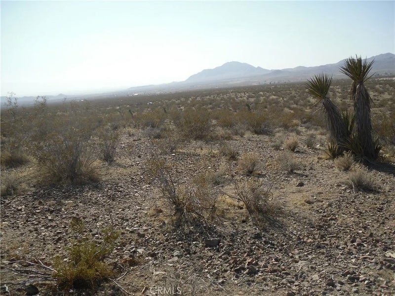 0 Stoddard Wells