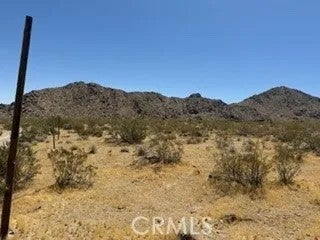 0 Mountain View