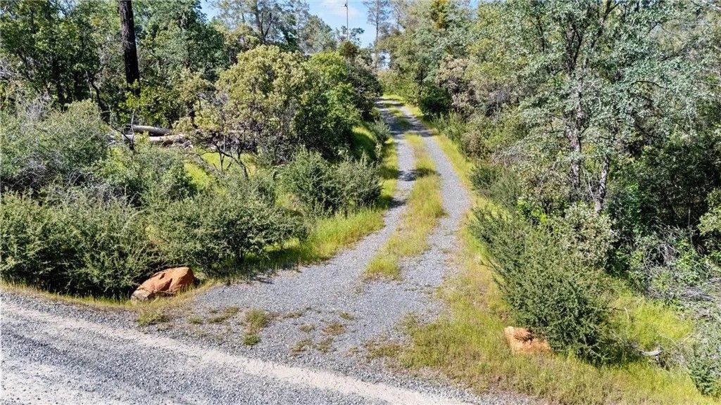 Photo of 0 Grand Oak Dr, Oroville, CA 95966 (MLS # SN26083704)