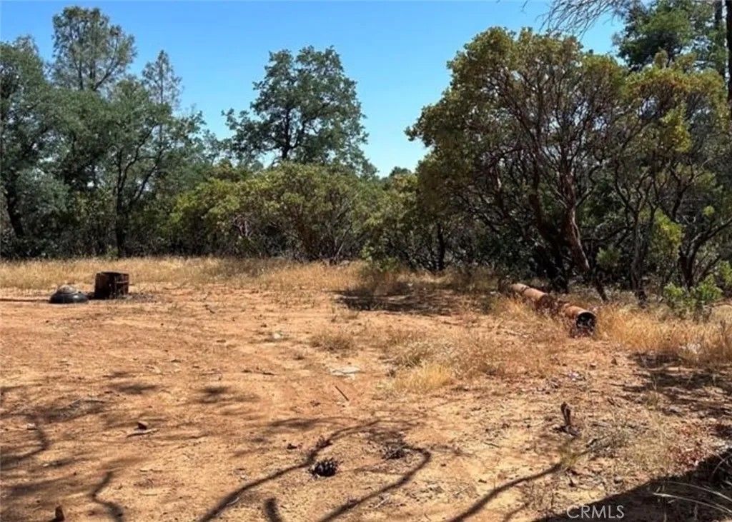 Photo of 0 Grand Oak Dr, Oroville, CA 95966 (MLS # SN26083704)