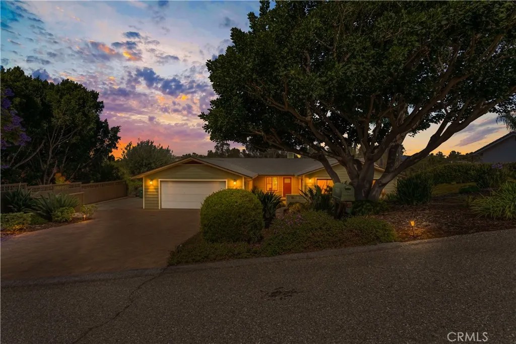1691 Pepper Tree