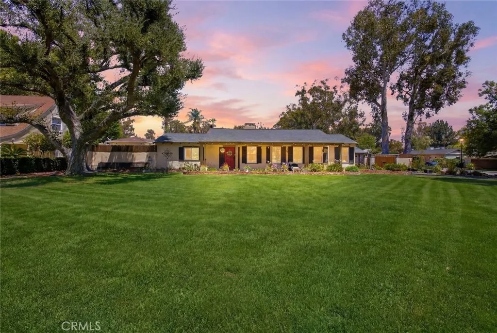 3151 Pepper Tree