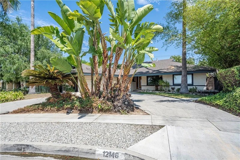 12146 Grovedale