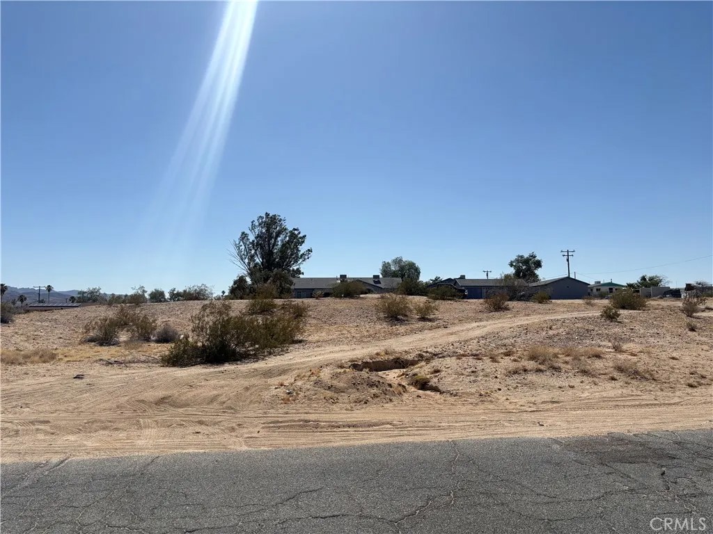 101 Desert Trail