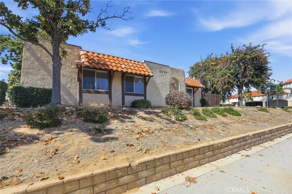 12246 Carnation A