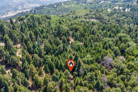 Tiny photo for 21824 Crestline Rd, Palomar Mountain, CA 92060 (MLS # 250040729)