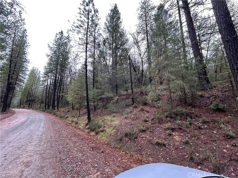 14435 Grizzly Hill