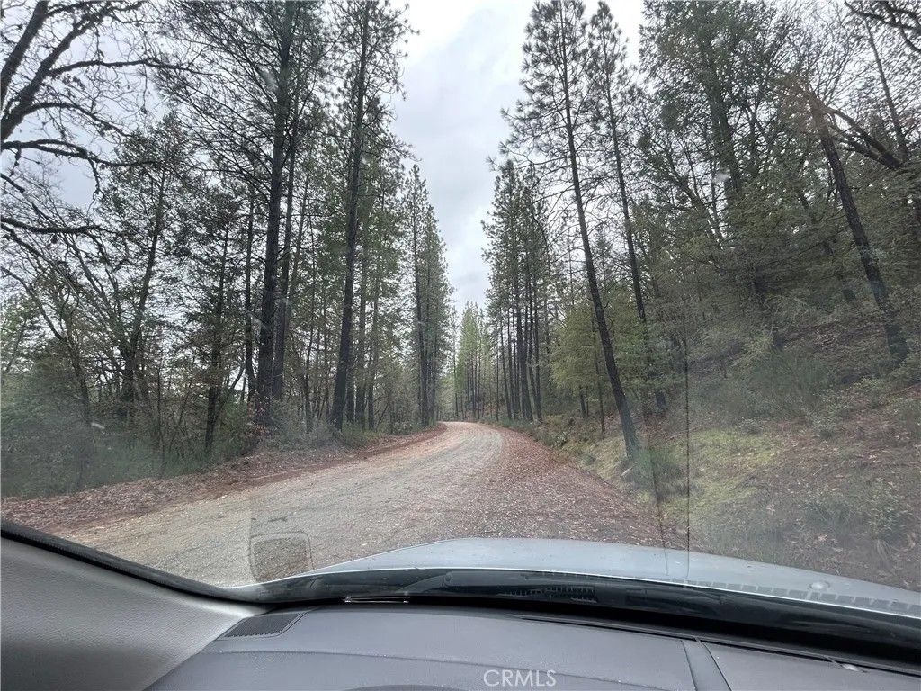 Photo of 14435 Grizzly Hill, Nevada City, CA 95959 (MLS # SR26000573)