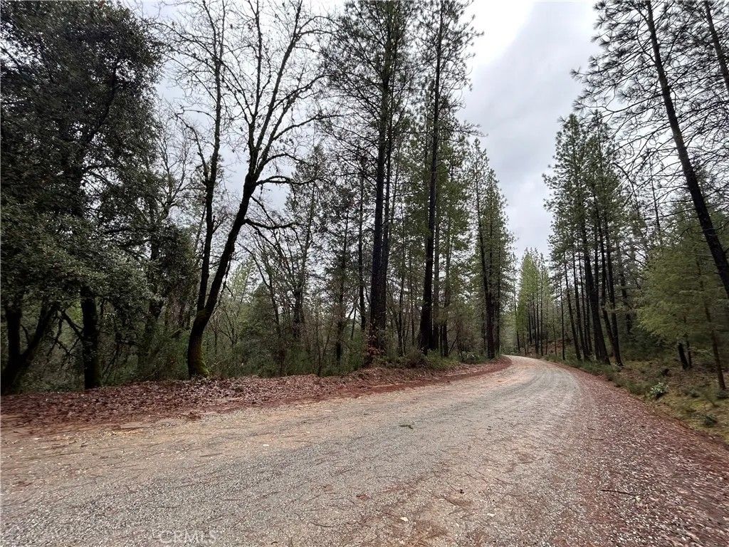 Photo of 14435 Grizzly Hill, Nevada City, CA 95959 (MLS # SR26000573)