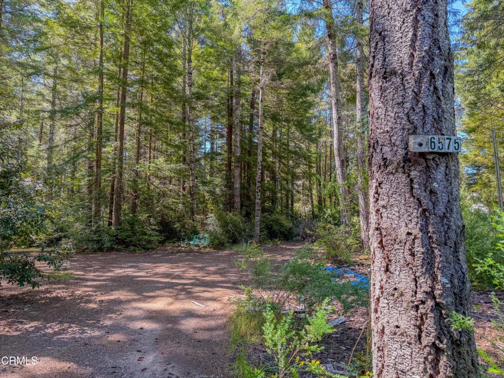6575 Road 18