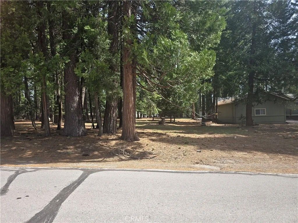 Photo of 716 Conifer Trl, Lake Almanor Peninsula, CA 96137 (MLS # SN26084021)
