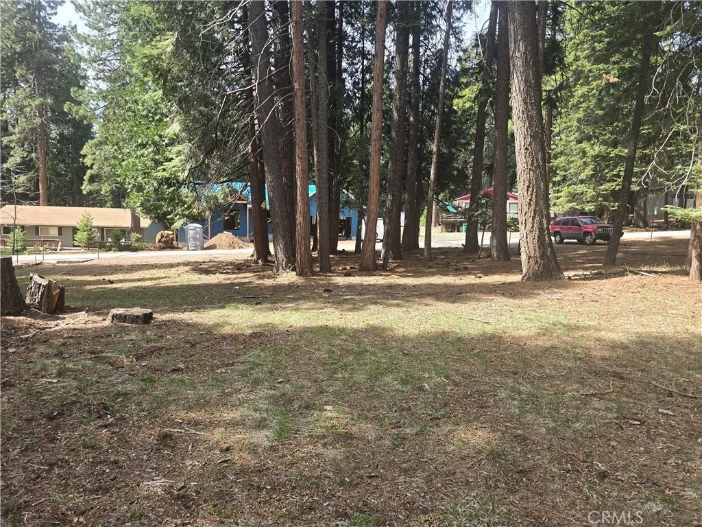 716 Conifer