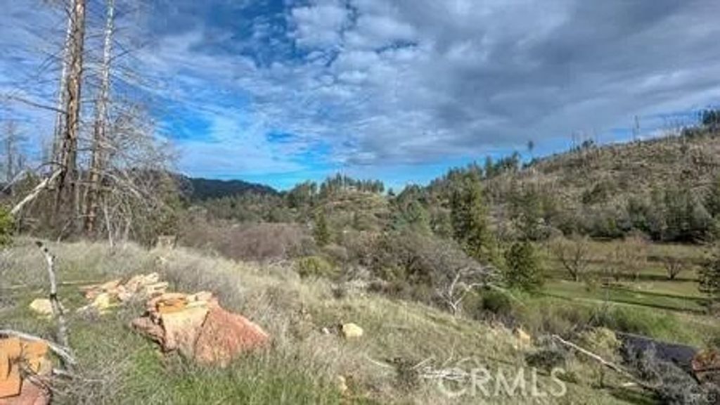 Photo of 9816 Venturi Dr, Cobb, CA 95426 (MLS # LC26087406)