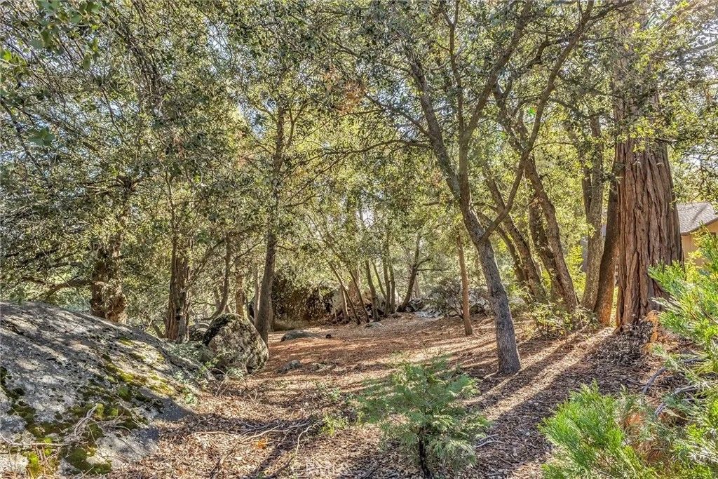 Photo of 0 Jeffery Pine Rd, Idyllwild, CA 92549 (MLS # SW25267111)