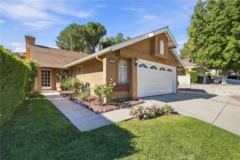 22856 Tamarack