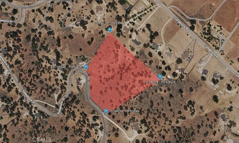 0 Saddleback