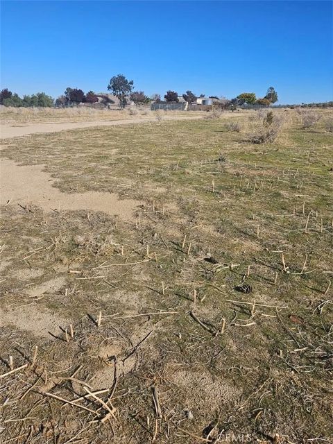 Photo of 0 111 Ste Drt Vic V14 Ste, Pearblossom, CA 93553 (MLS # SR25275218)