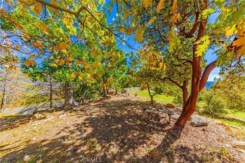 Tiny photo for 33177 Cascadel Heights Drive, North Fork, CA 93643 (MLS # FR25253281)