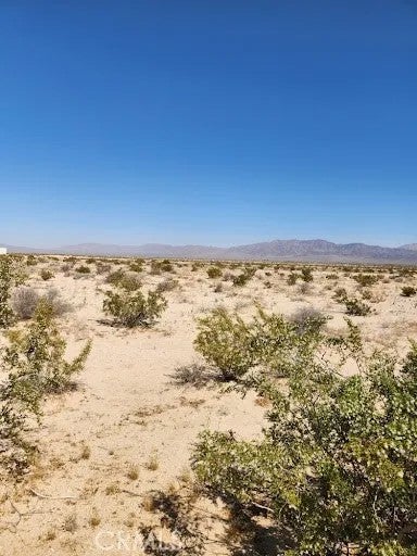 0 El Paseo