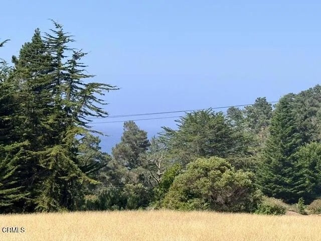 44861 Baywood