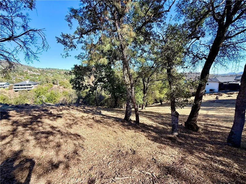 17005 Knollview