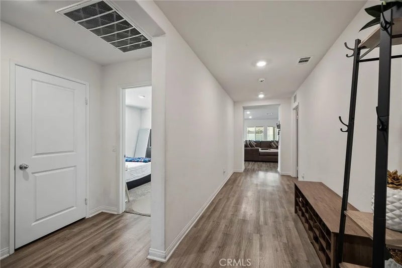 246 Scarlet Oak