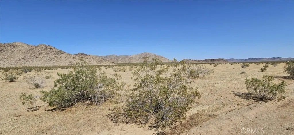 Photo of 800 Algoman, Lucerne Valley, CA 92356 (MLS # HD25278636)