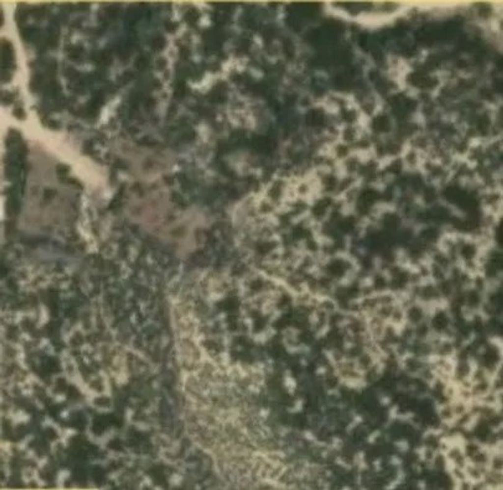 Photo of 0 Dickson Hills Road, Anza, CA 92539 (MLS # PW26121312)