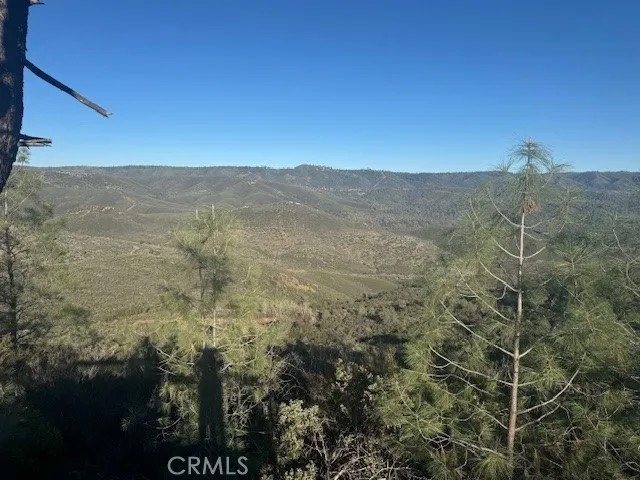 10662 Penon Blanco Lookout