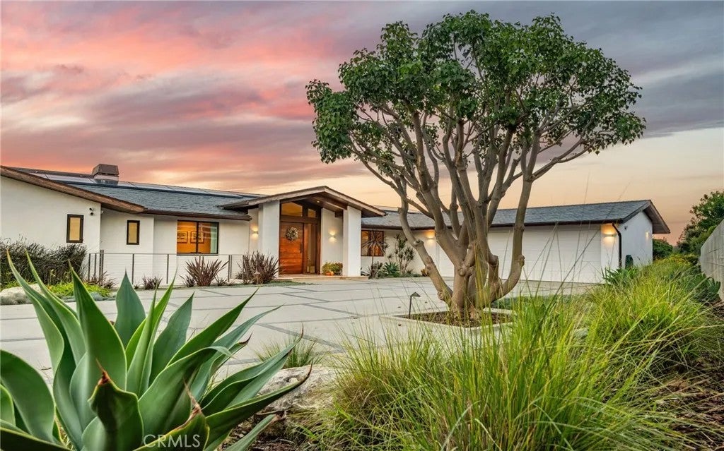 38 Saddleback