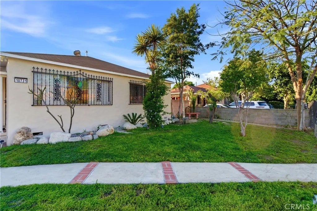 10731 Wright