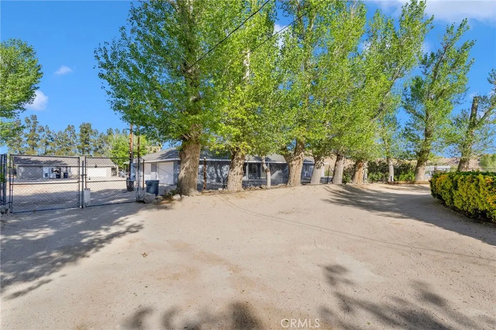 10298 Custer Avenue