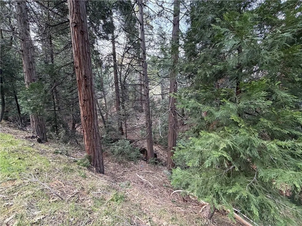 0 Hook Creek