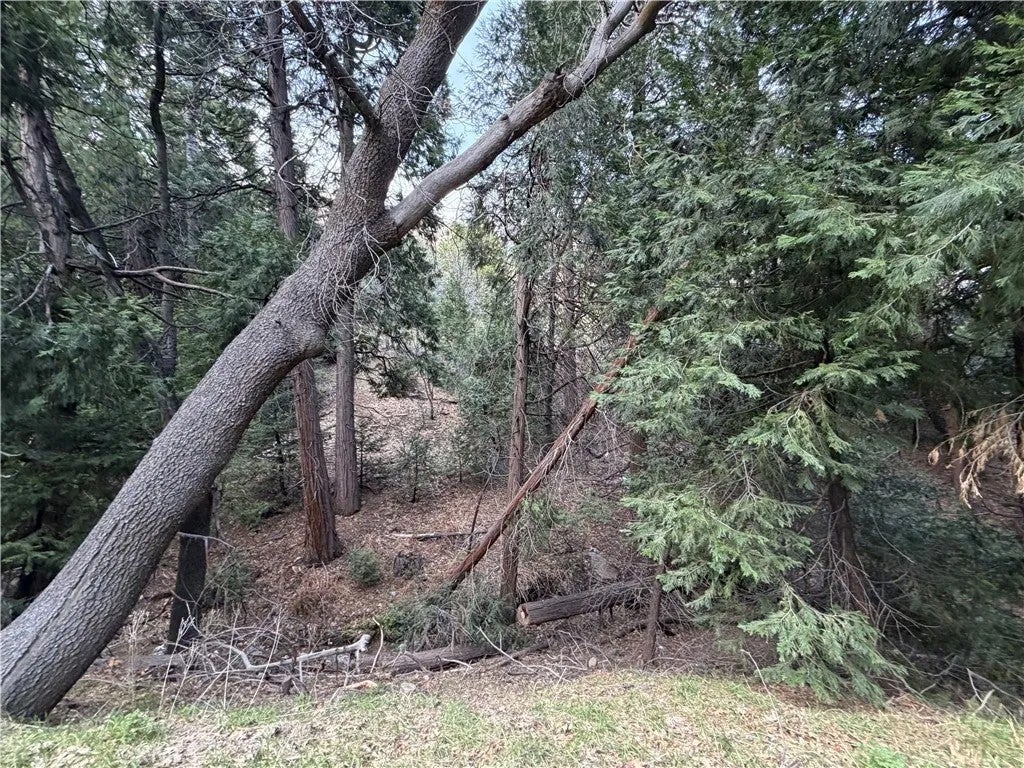 0 Hook Creek