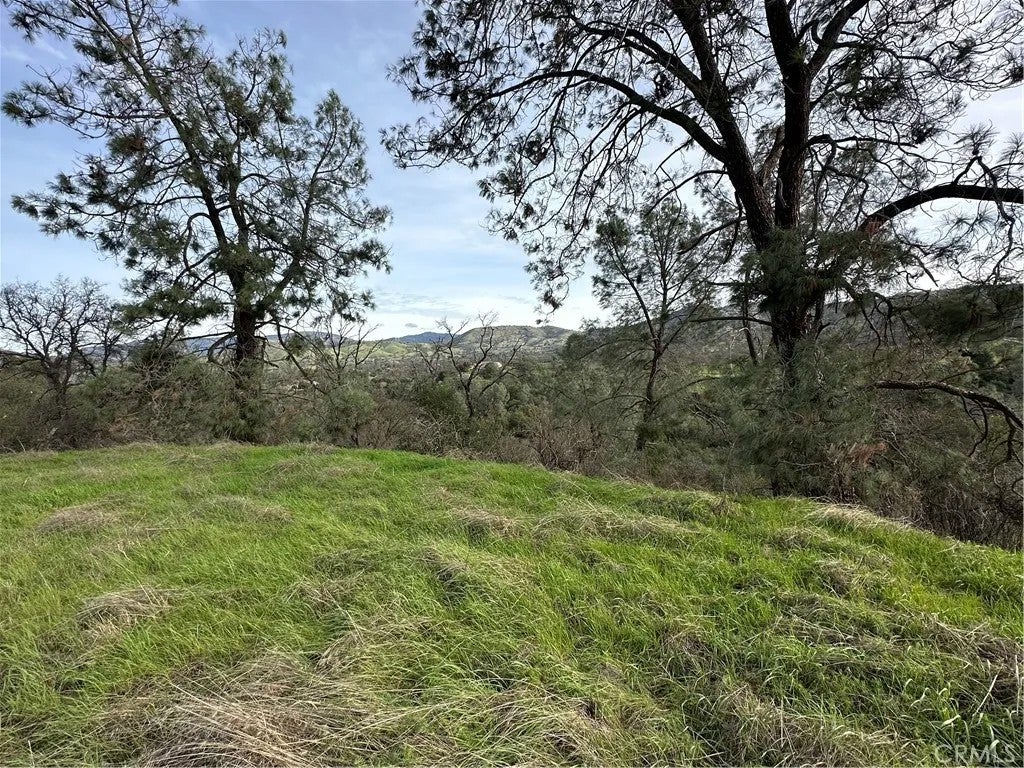 3224 Silver Bush