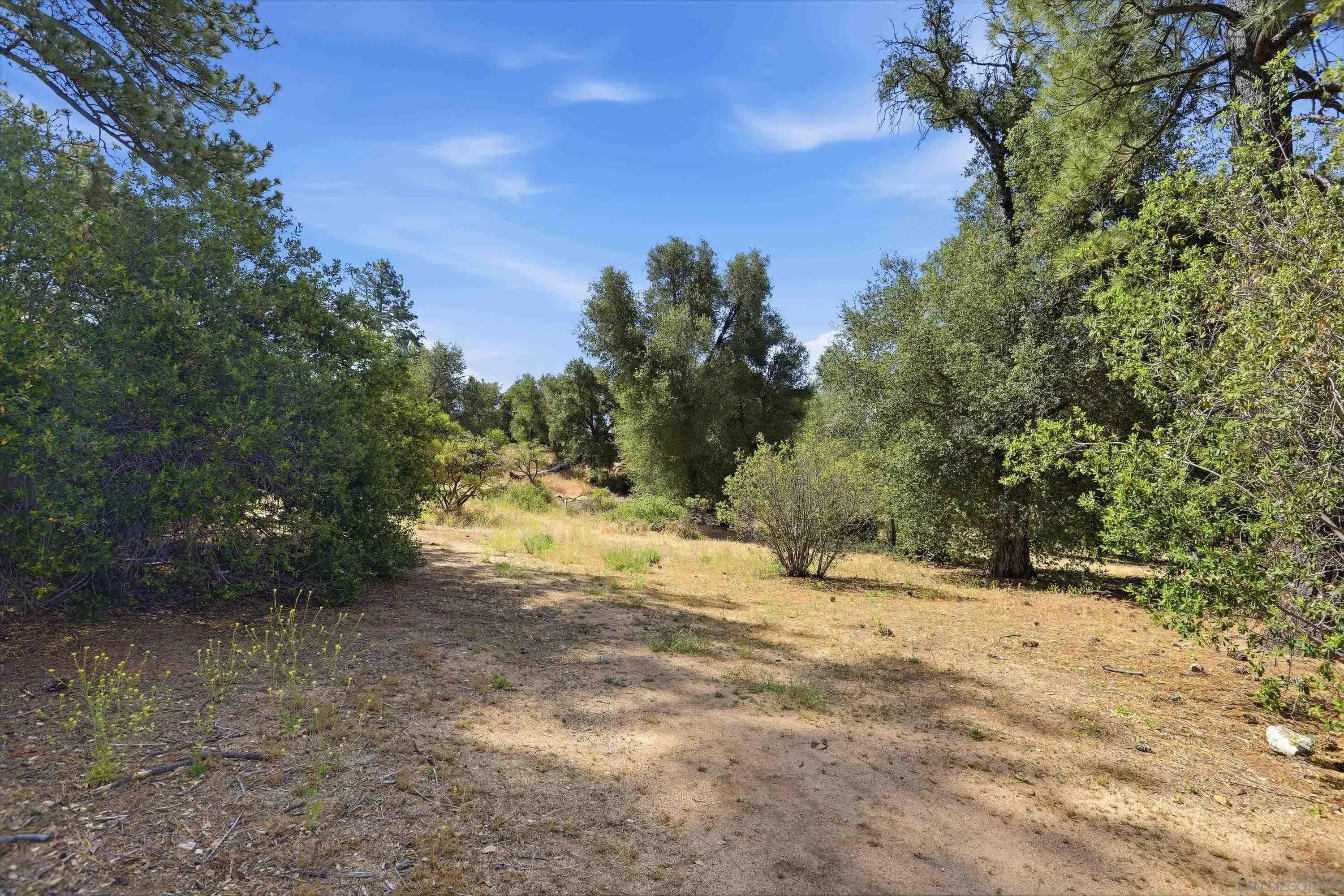 8505 Foothill Blvd 006479