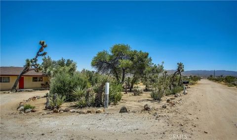 Tiny photo for 5407 Paradise View Road, Yucca Valley, CA 92284 (MLS # JT25238797)