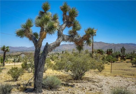 Tiny photo for 5407 Paradise View Road, Yucca Valley, CA 92284 (MLS # JT25238797)