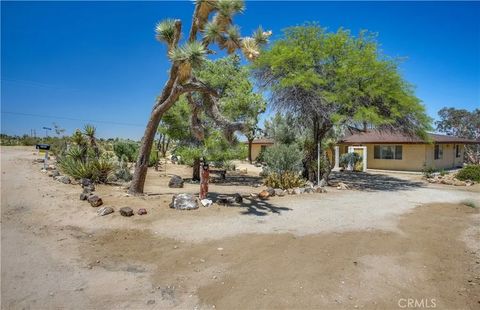 Tiny photo for 5407 Paradise View Road, Yucca Valley, CA 92284 (MLS # JT25238797)