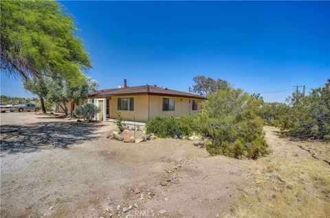 Tiny photo for 5407 Paradise View Road, Yucca Valley, CA 92284 (MLS # JT25238797)