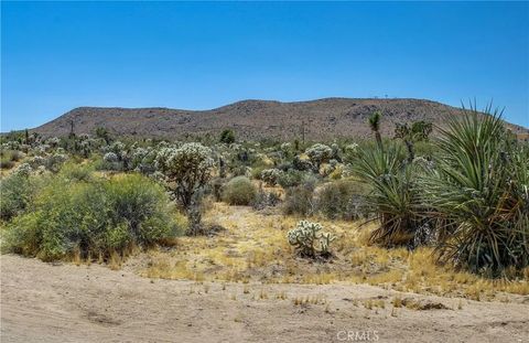 Tiny photo for 5407 Paradise View Road, Yucca Valley, CA 92284 (MLS # JT25238797)